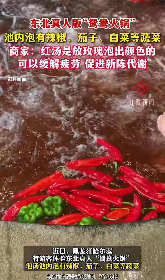 东北惊现真人版“鸳鸯锅”!游客体验“下锅涮自己”商家回应亮了